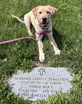 Puppy Edmee at LeRoux gravesite