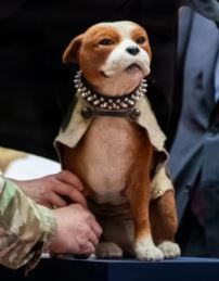 Sgt. Stubby statue in CT