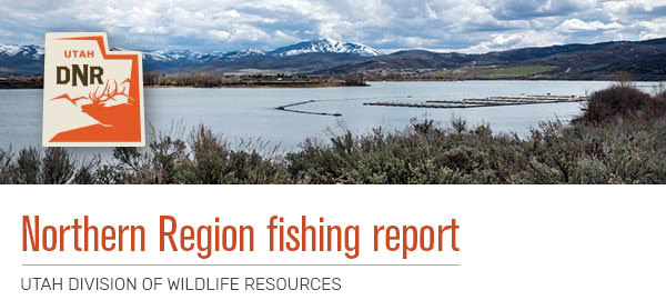 Northern Region fishing report