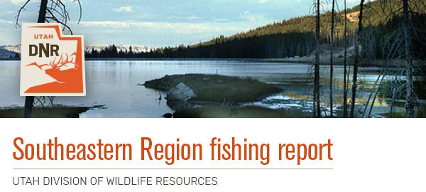 Southeastern Region fishing report