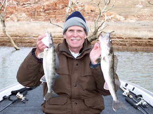 Lake Powell walleye