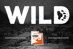 WILD Podcast