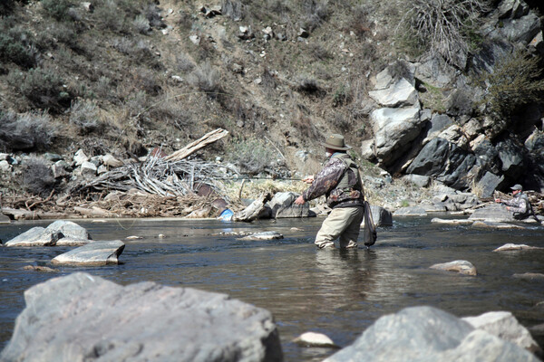 Weber River stream fishing