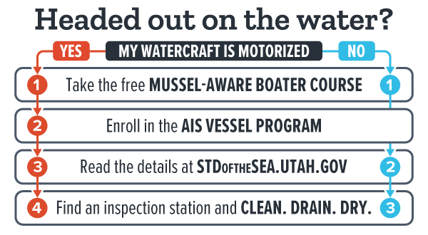AIS motorized flowchart