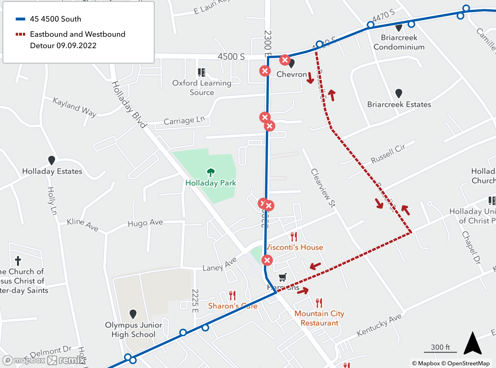 Route 45 Detour Map