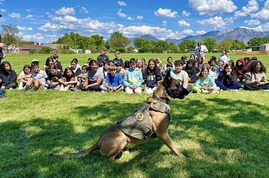 K9 for Schools