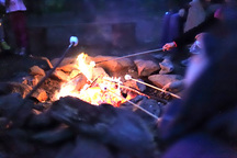 campfire with s'mores