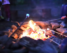 image of campfires with marshmallows over fire