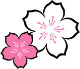 Cherry Blossom Logo