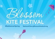 Blossom Kite Festival