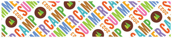 45 degree Summer Camp logo