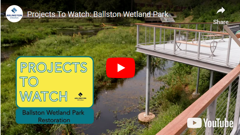 Ballston Wetland Park