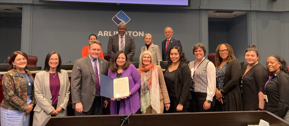 County Board Domestic Violence Proclamation