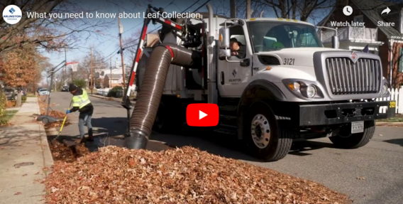 Leaf Collection Service Video 