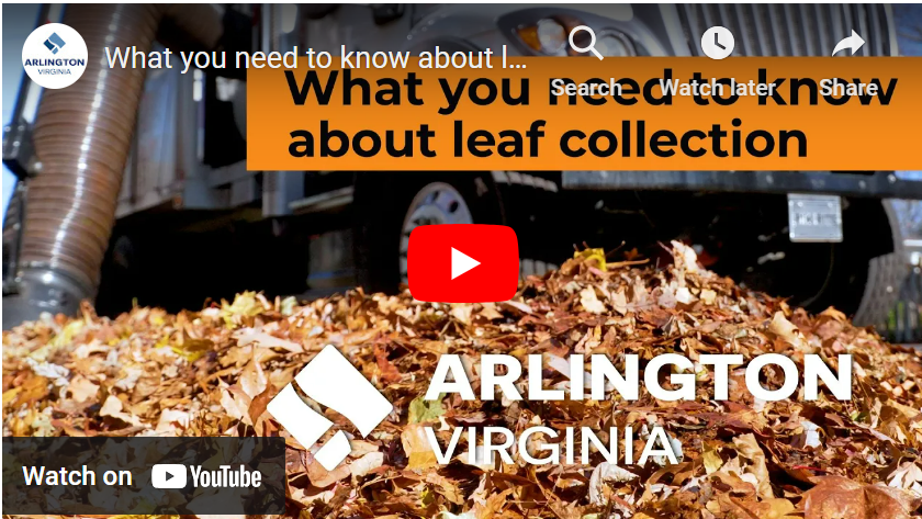 Leaf Collection Information