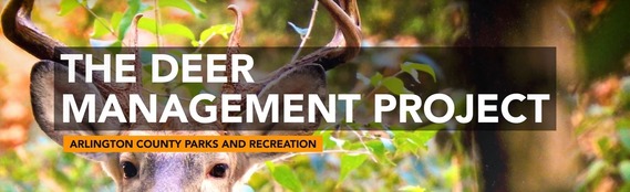 deer management project banner