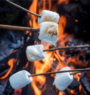 Campfire & Marshmallows