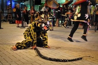 festival latinoamericano