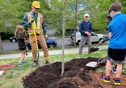 people planting a tree