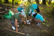 tree planting