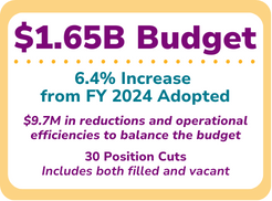 FY 2025 Budget snippet