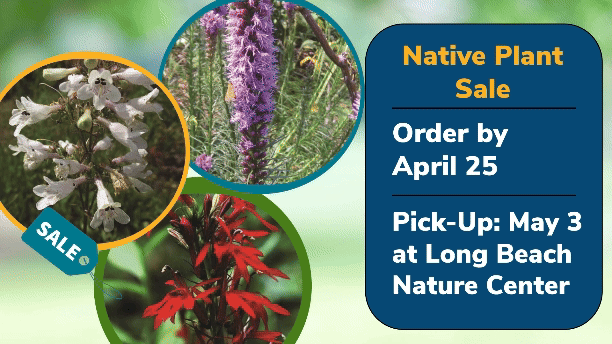 Native Plant Sale