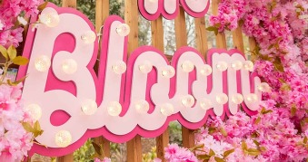 Art of Pink Cherry Blossom