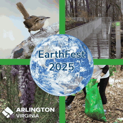 EarthFest Gif just globe