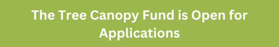 Tree Canopy Fund Applications Open Banner