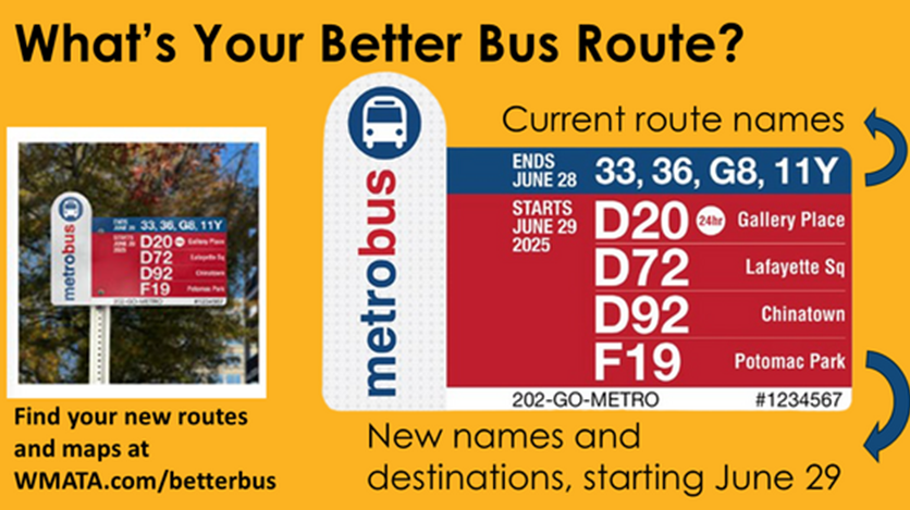 Better Bus Network Changes Begin in June