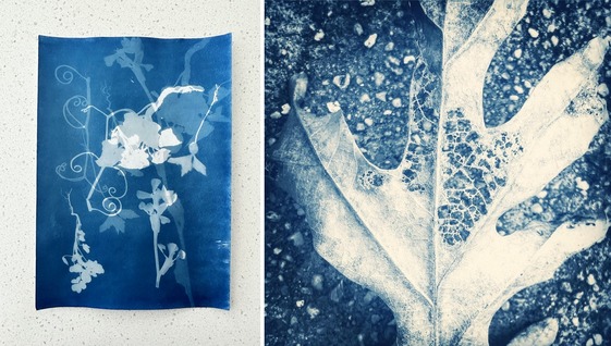 Exposing Life Cycles