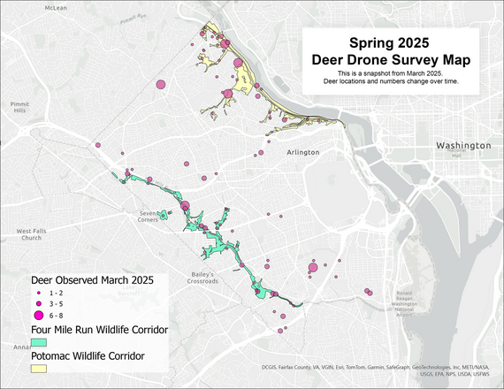 2025 Deer Drone Survey Map