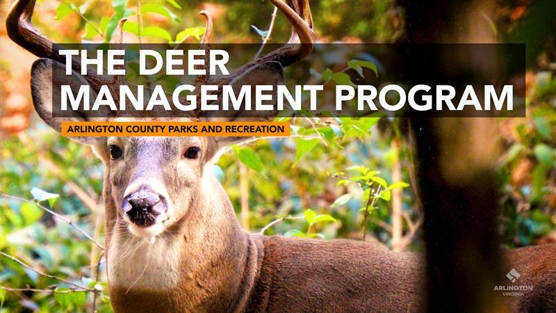 Deer Management Program Header