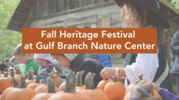 Fall Heritage Festival Promotion
