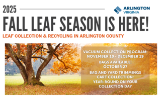 Fall 2025 Leaf Mailer