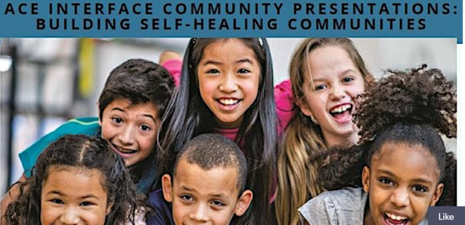 ace-interface training25