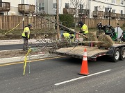 Columbia Pike - Landscaping