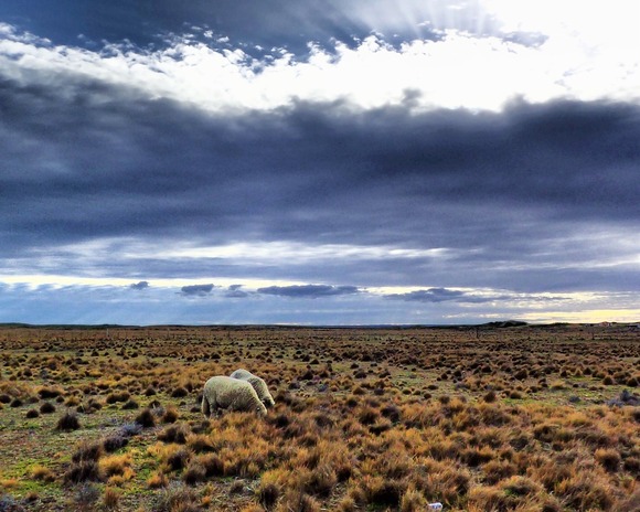 Paint & Sip Option 2