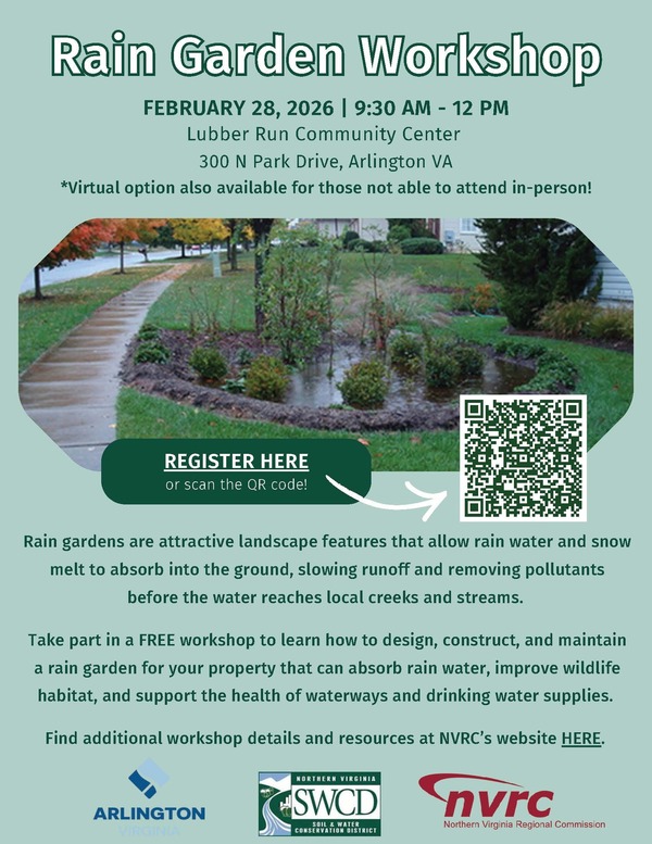 rain garden workshop