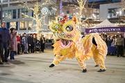 Lion dance performance.