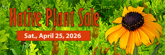native plant sale