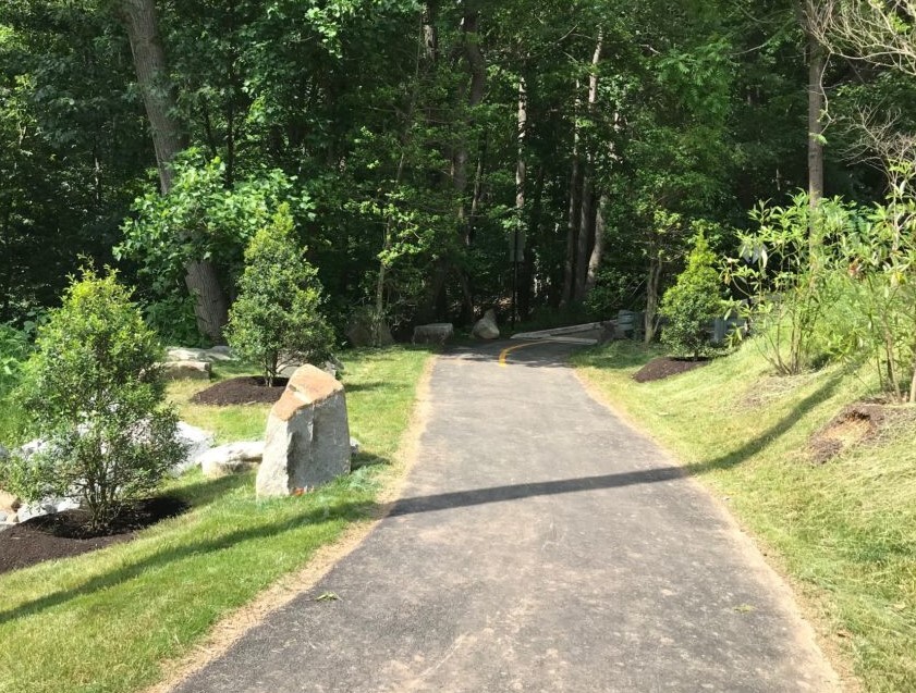 One segment of a paved path connects seamlessly with another as the path winds through a wooded area with grassy edges.