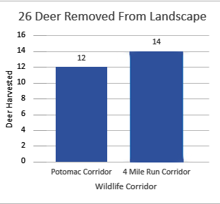 26 Deer Removed from the lanscape - 12 in the Potomac Corridor and 14 from the Four Mile Run Corridor