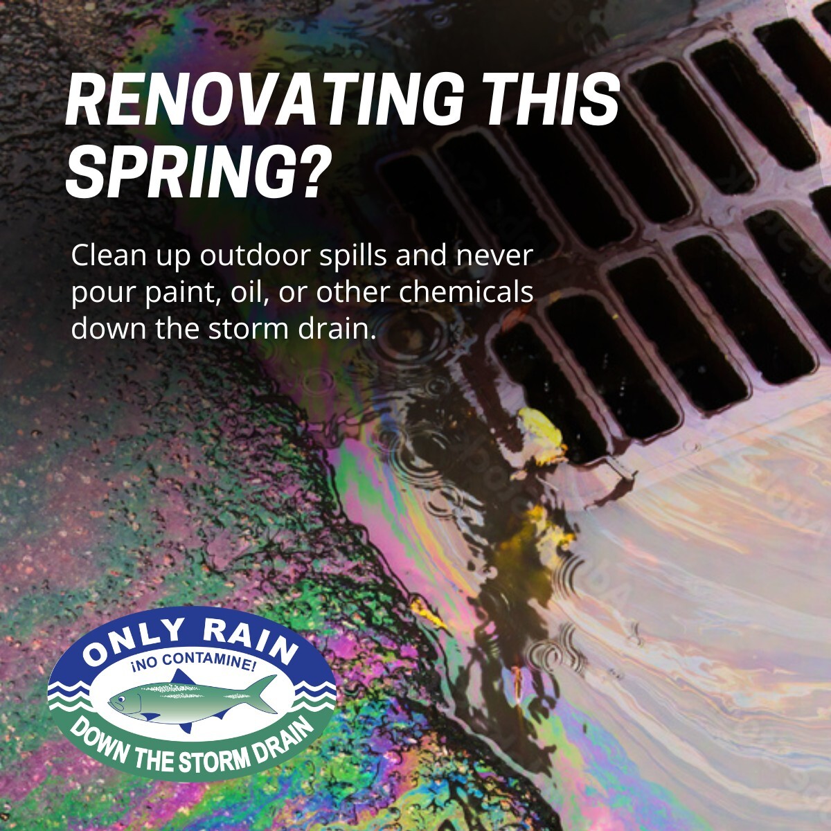 Only Rain renovations
