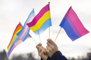 Pride flags.