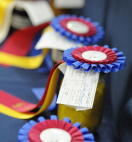 Arlington County Fair Ribbons