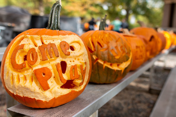A line of carved pumpkins.
