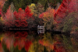 Midlo Mines Fall Autumn 2023