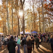 Hops in the Park 2023