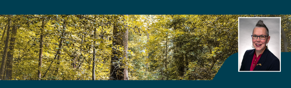 Clover Hill District